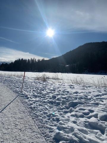 Haus Anna Daire Seefeld in Tirol Dış mekan fotoğraf